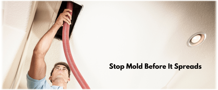 Air Duct Mold Removal in Atlanta