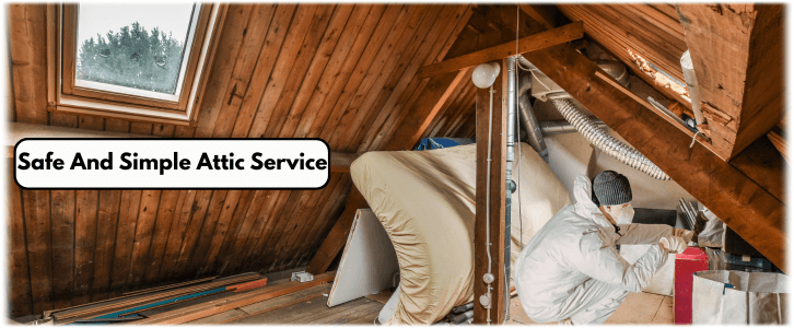 Attic Cleaning Atlanta